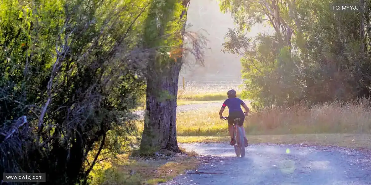 🎯【全球直播】零时差,与千万球迷同频尖叫!